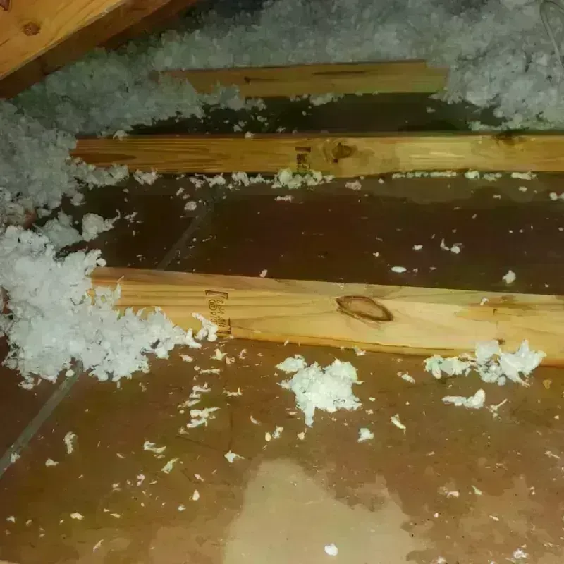 Attic Water Damage in Stanwood, WA